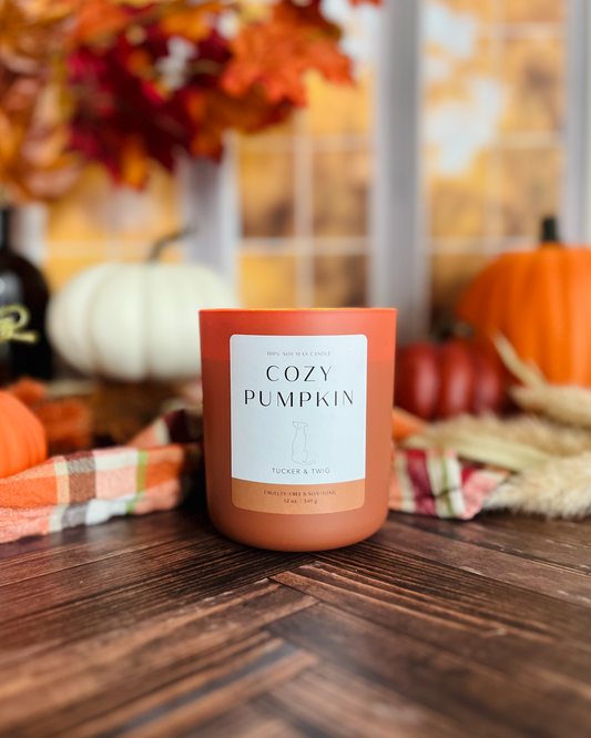Cozy Pumpkin - Brand new for 2025!