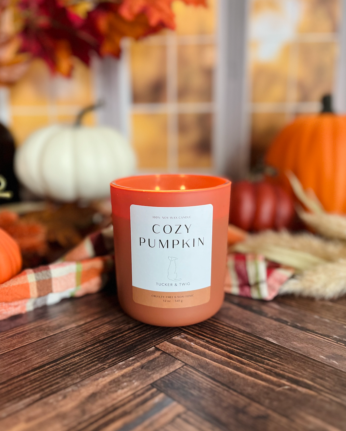 Cozy Pumpkin - Brand new for 2025!