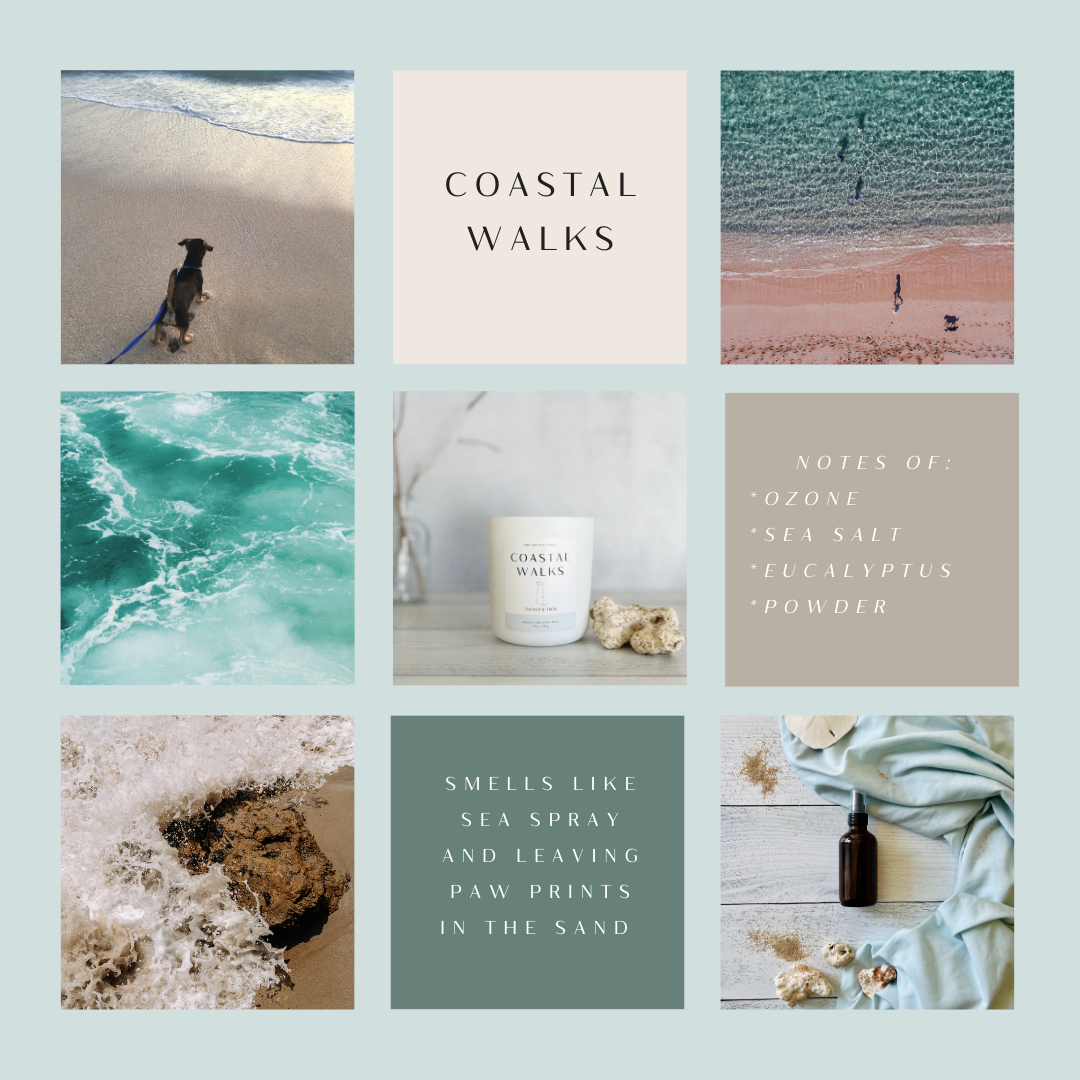 Collage of beach images, candle, and room spray bottle with text reading "Coastal Walks", "Notes of: ozone, sea salt, eucalyptus, powder", "Smells like sea spray and leaving paw prints in the sand."