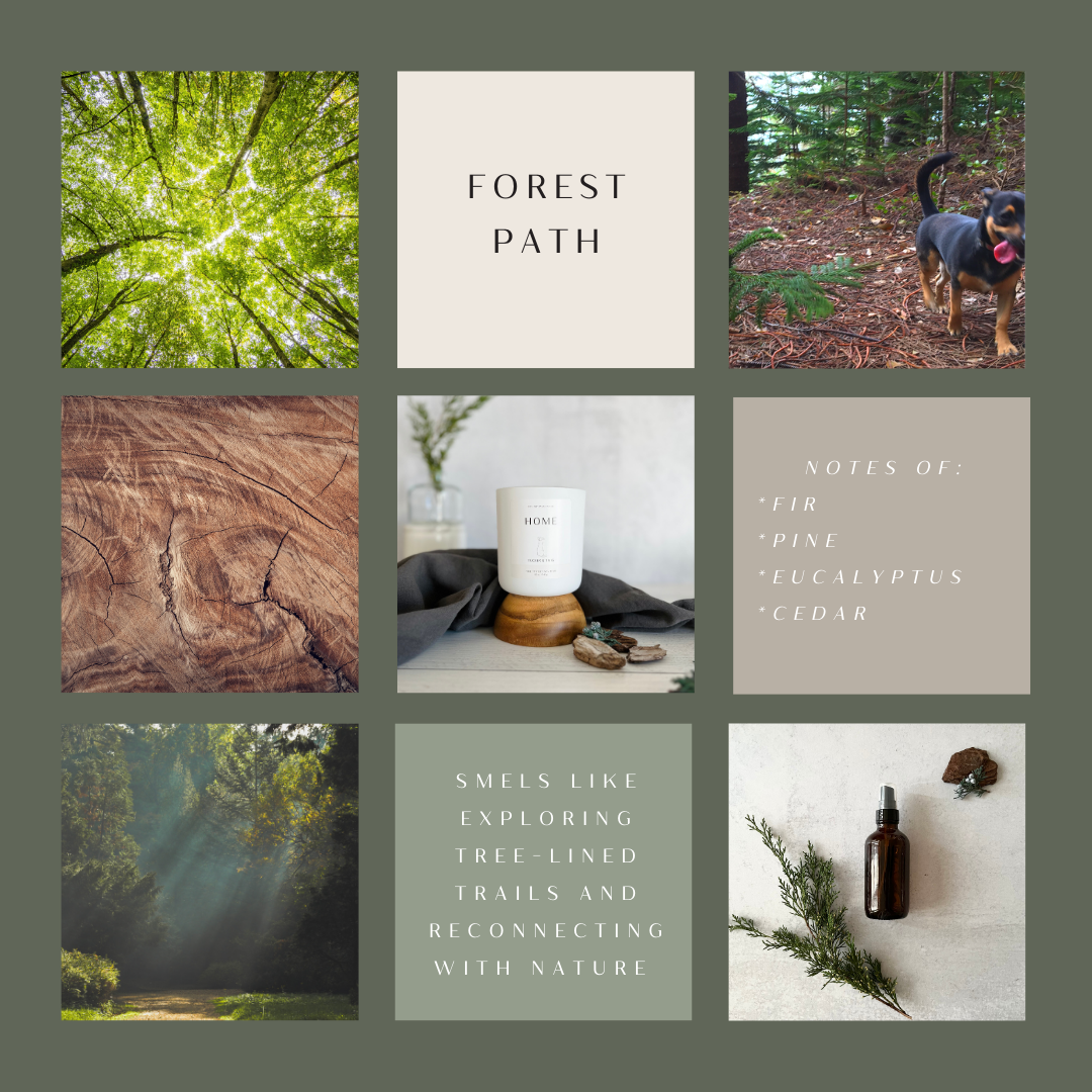 Forest Path Candle
