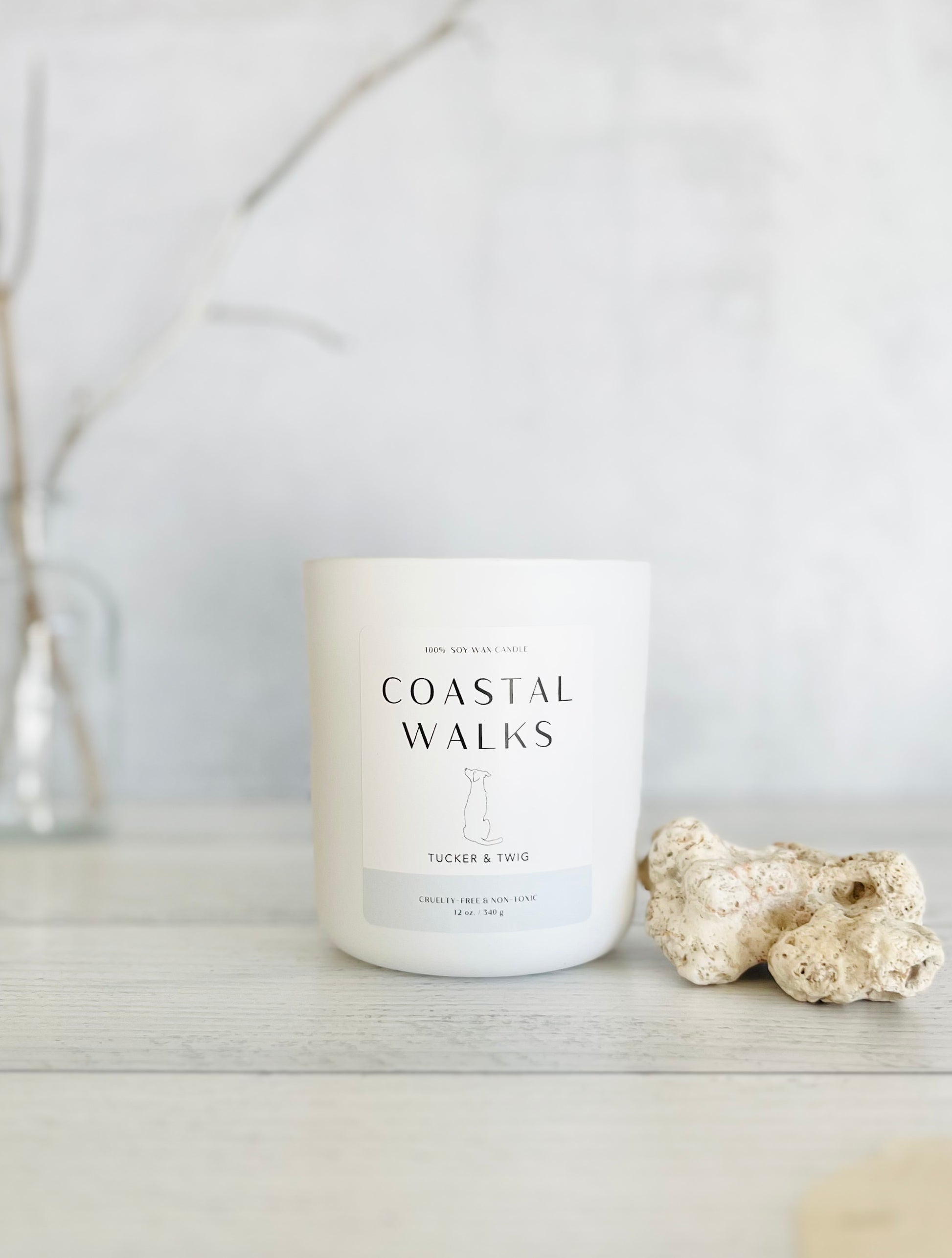 Candle in white glass container, labeled "Coastal Walks" with coral beside it.