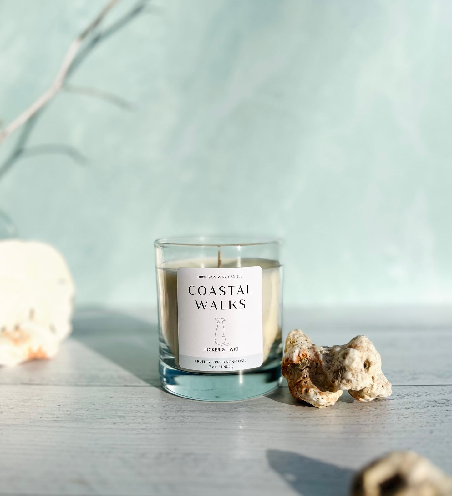 Coastal Walks Candle