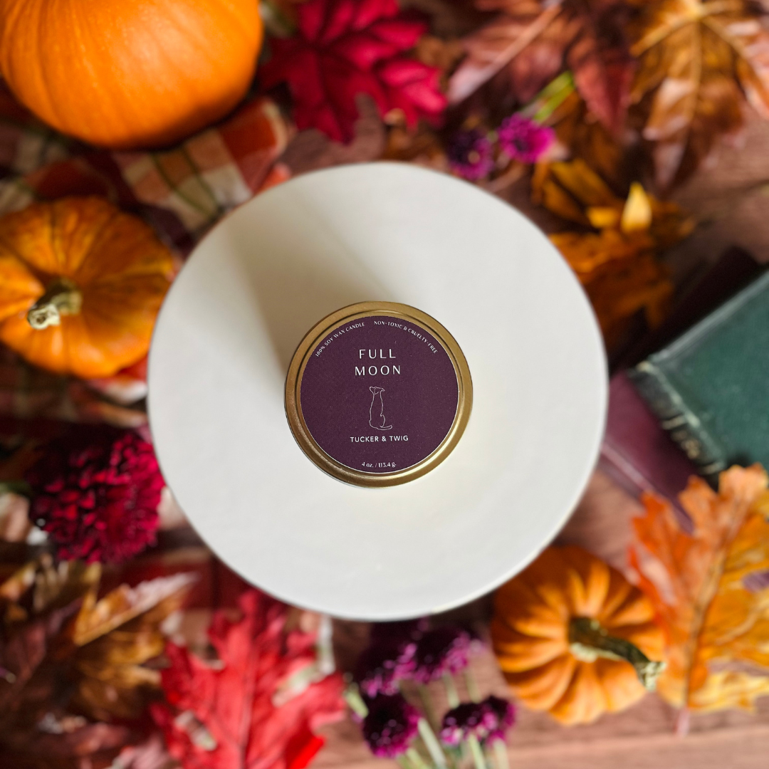 Seasonal 4oz Candle Tins & Flight