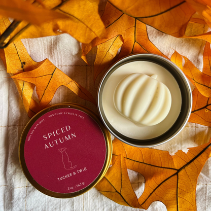 Seasonal Fall Wax Melts