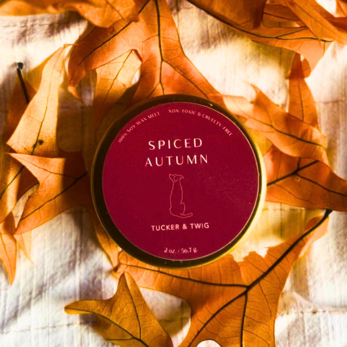 Seasonal Fall Wax Melts