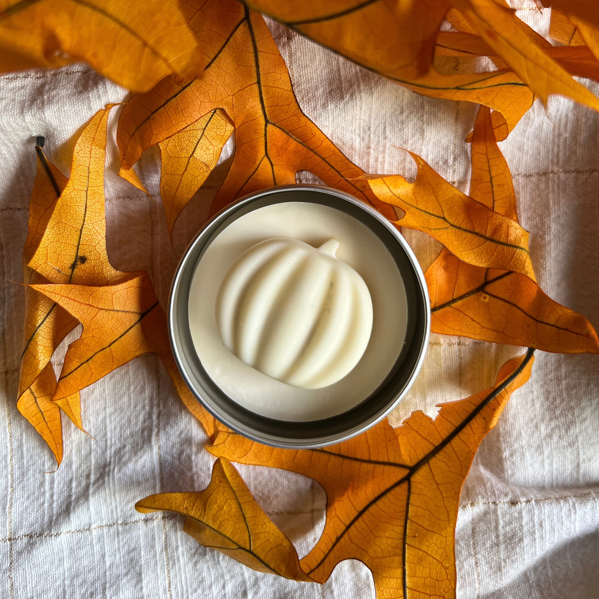 Seasonal Fall Wax Melts
