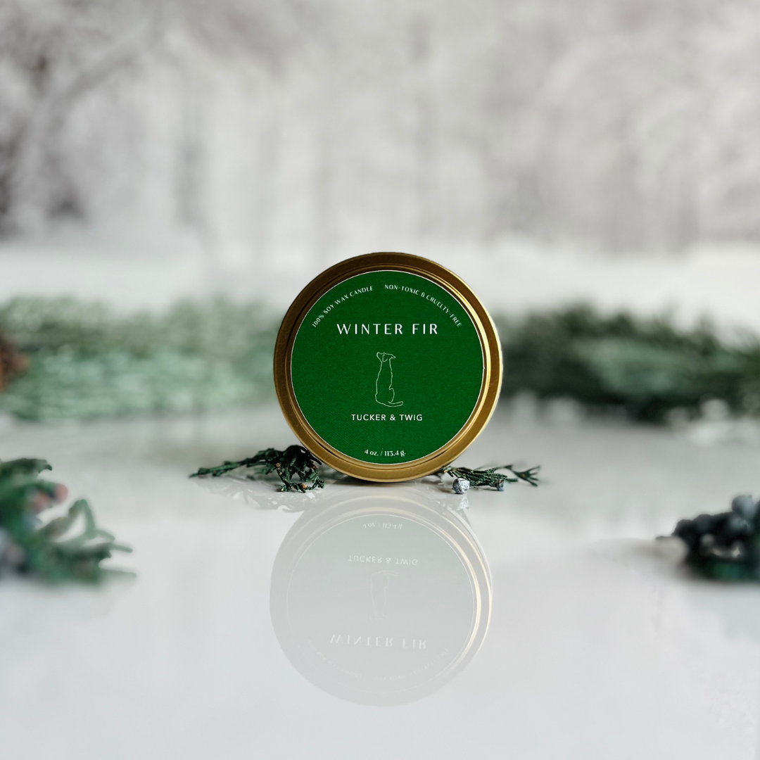 Winter Fir Candle