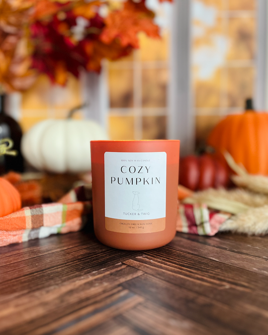 Cozy Pumpkin