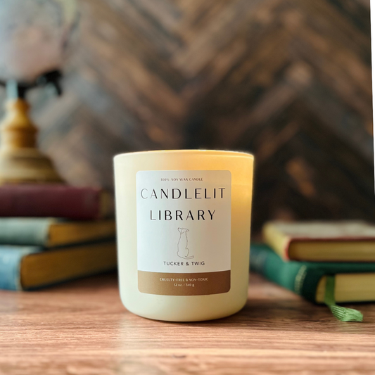 Candlelit Library