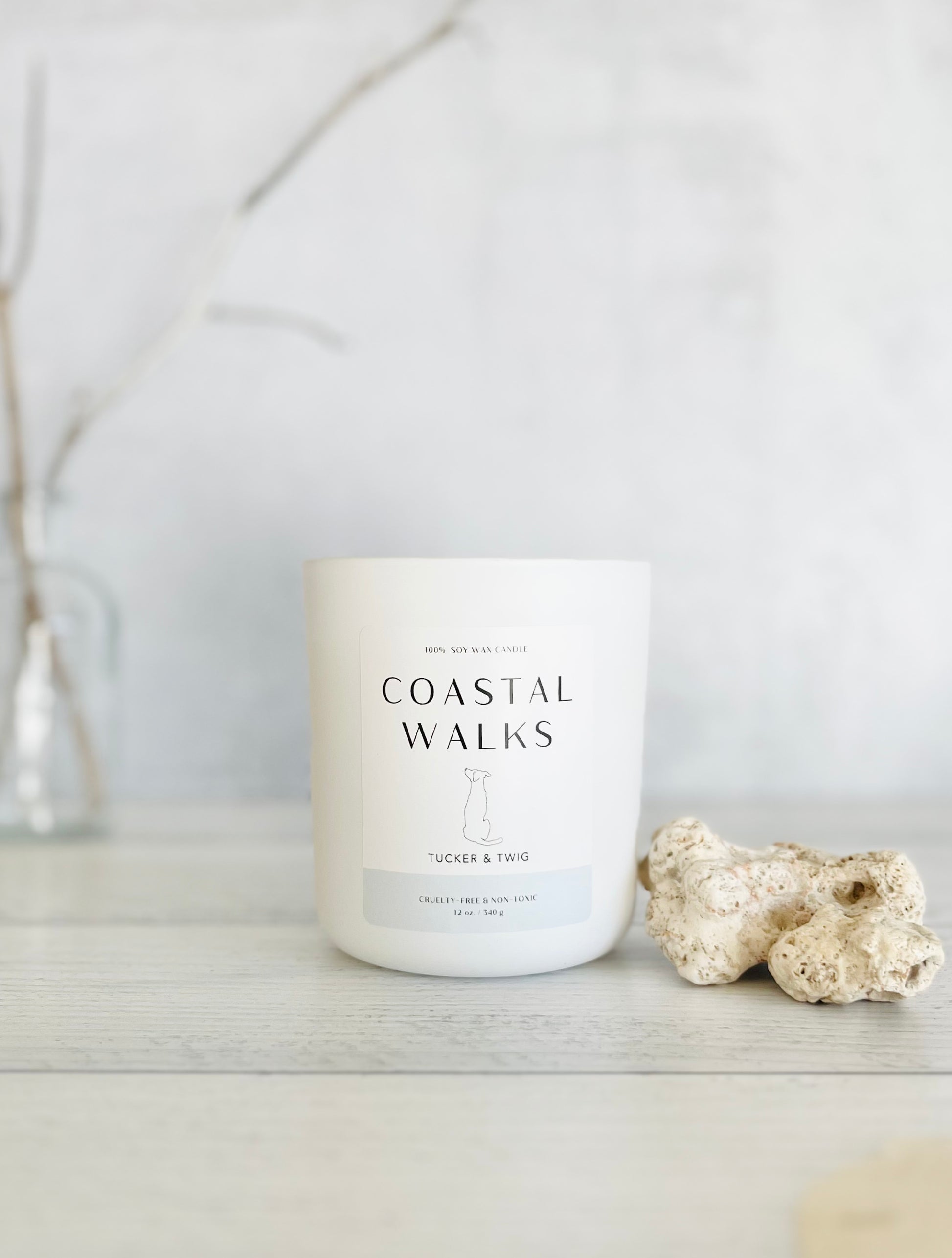 Candle in white glass container, labeled "Coastal Walks" with coral beside it.