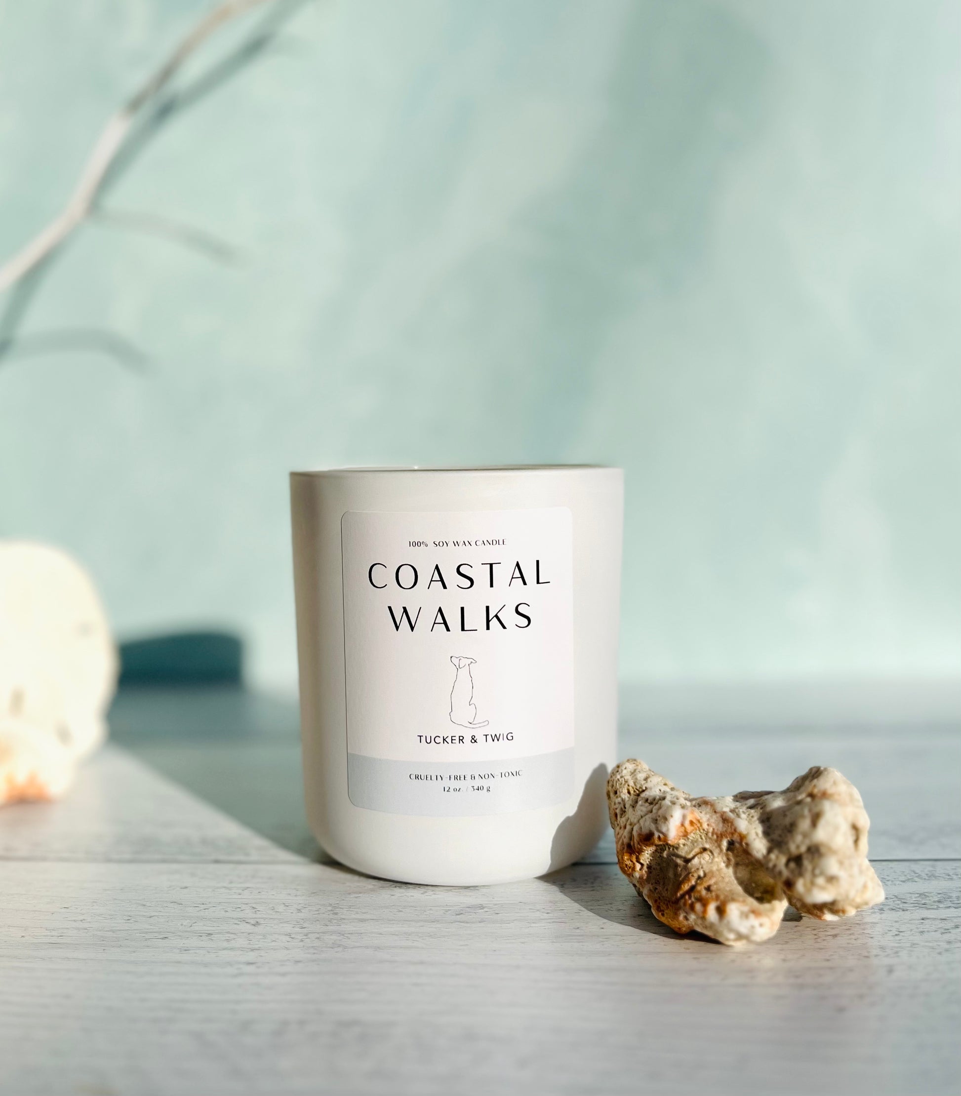 Ocean & Sea Salt 12 oz scented candle